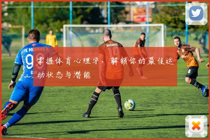 掌握体育心理学，解锁你的最佳运动状态与潜能